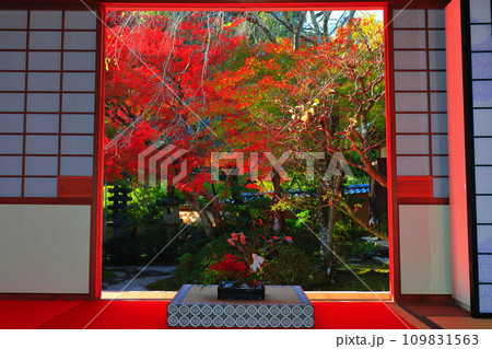 【京都府】光明寺 もみじの間と紅葉 109831563