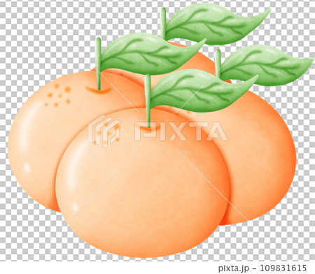 Oranges are auspicious fruits suitable for worship at various festivals. 109831615