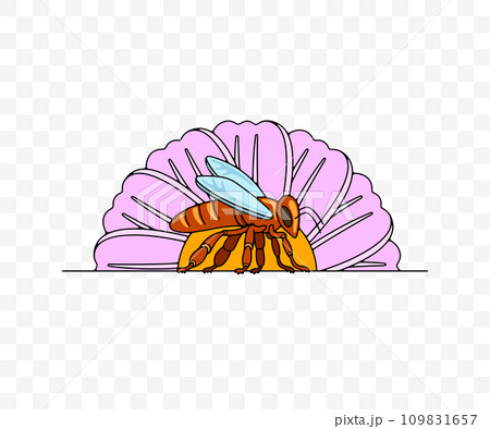 Bee sits on a flower, insect and apiary, graphic design. Animal, plant, bee-garden, beekeeping and apiculture, vector design and illustration 109831657