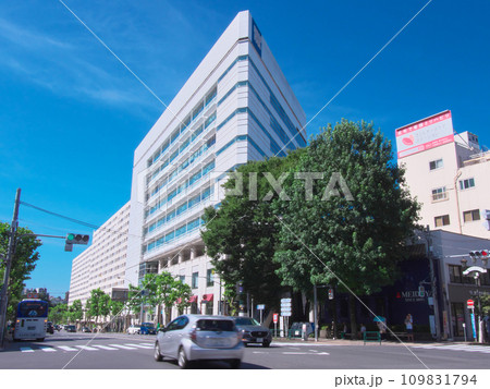 【東京都渋谷区】夏の広尾 - 広尾橋交差点（2023年7月） 109831794