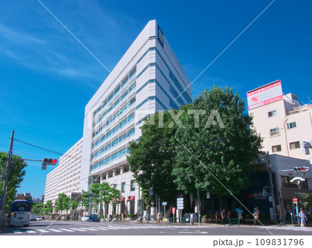 【東京都渋谷区】夏の広尾 - 広尾橋交差点（2023年7月） 109831796