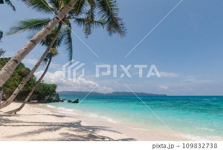 Sandy tropical beach with palm trees and blue sea against the sky. Summer and travel vacation concept. Boracay, Philippines 109832738
