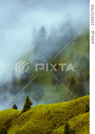 landscape with hills, trees and fog landscape with hills, trees and fog 109832768