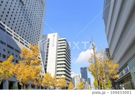 大阪市中央区心斎橋 秋の御堂筋 大阪市中央区心斎橋 秋の御堂筋 109833001