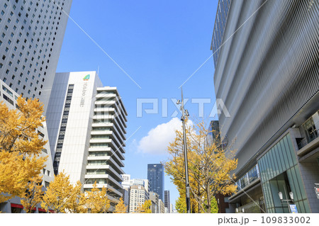 大阪市中央区心斎橋　秋の御堂筋 109833002
