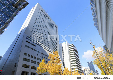 大阪市中央区心斎橋　秋の御堂筋 109833003