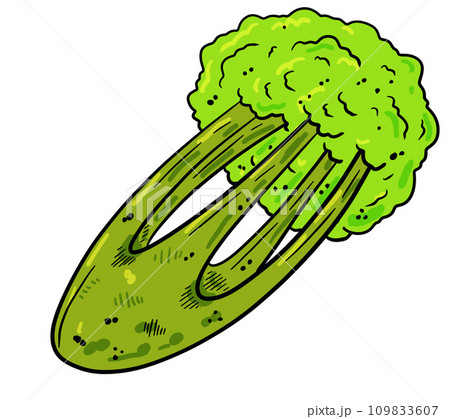 Celery cartoon hand drawn illustration. Green vegetable. Healthy nutrition. Ingredients for salad isolated on white 109833607