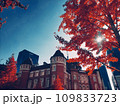 東京駅 109833723