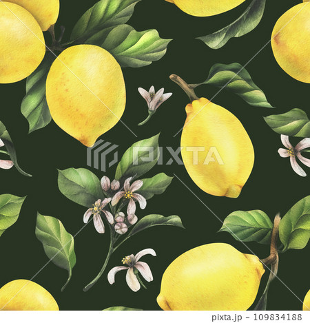 Lemons are yellow, juicy, ripe with green leaves, flower buds on the branches, whole and slices. Watercolor, hand drawn botanical illustration. Seamless pattern on a green background. Lemons are yellow, juicy, ripe with green leaves, flower buds on the branches, whole and slices. Watercolor, hand drawn botanical illustration. Seamless pattern on a green background. 109834188