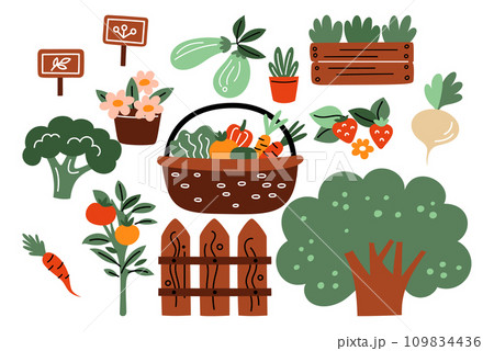 Garden plants. Vegetable gardening. Food growing. Basket with carrots and tomatoes. Wooden fence. Seedlings in pot. Agriculture cultivation. Broccoli and strawberry. Horticulture vector set 109834436