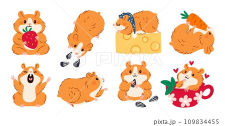 Cute hamster. Little animal. Rodent mascot. Different actions and poses. Domestic rat eats seeds or cheese. Pet holding strawberries and carrots. Adorable mammal in cup. Garish vector set Cute hamster. Little animal. Rodent mascot. Different actions and poses. Domestic rat eats seeds or cheese. Pet holding strawberries and carrots. Adorable mammal in cup. Garish vector set 109834455