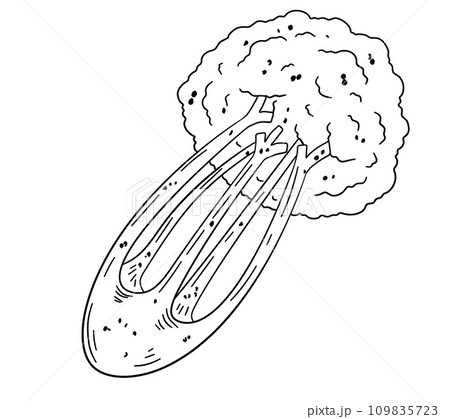 Celery cartoon hand drawn illustration. Green vegetable. Healthy nutrition. Ingredients for salad isolated on white. Celery cartoon hand drawn illustration. Green vegetable. Healthy nutrition. Ingredients for salad isolated on white. 109835723