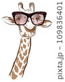 Giraffe with sunglasses - vector illustration 109836401