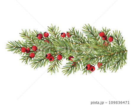 Clip art christmas tree branches decorated with red berries. Watercolor xmas illustration for decoration. Nature design circle frame new year greeting cards template 109836471