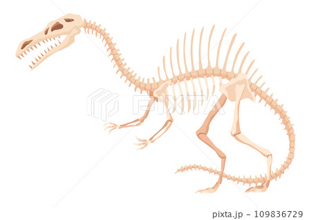 Dinosaur skeleton. Dino monsters icon. Shape of real animal. Sketch of prehistoric reptiles. Vector illustration isolated on white. Hand drawn sketch 109836729