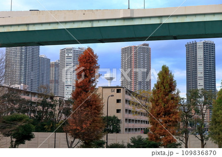 辰巳の高架道路とマンション群 109836870