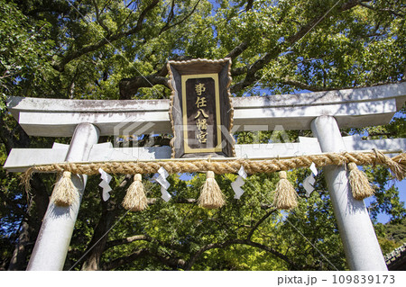 事任八幡宮 事任八幡宮 109839173