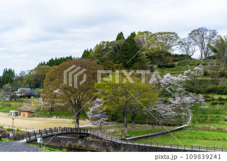 桜咲く季節 観光スポット通潤橋・公園風景 【道の駅 通潤橋】(熊本県上益城郡山都町) 桜咲く季節 観光スポット通潤橋・公園風景 【道の駅 通潤橋】(熊本県上益城郡山都町) 109839241