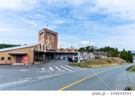 桜咲く季節　泊まれる道の駅 そよ風パーク　自然の宿泊施設・観光スポット　(熊本県上益城郡山都町) 109839503