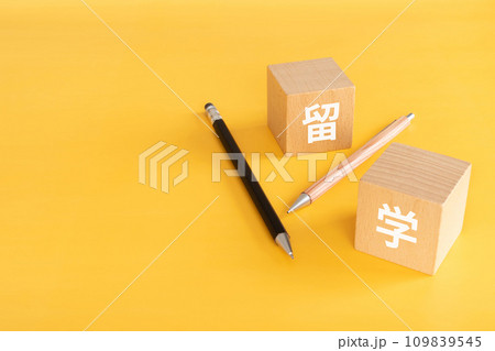 留学の文字が入ったブロックとペン 109839545