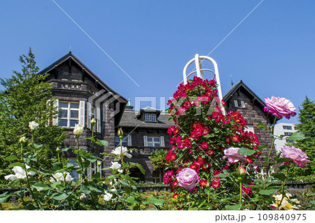 東京都　旧古河庭園　春バラの風景 　都立庭園 109840975