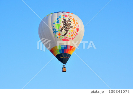 熱気球・バルーン 熱気球・バルーン 109841072