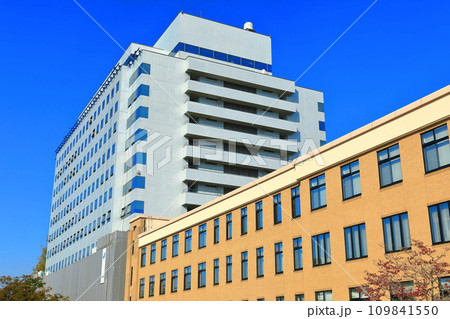 【佐賀県】快晴の佐賀県庁の旧館と新館 109841550