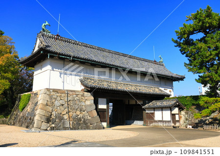 【佐賀県】快晴の佐賀城 鯱の門 【佐賀県】快晴の佐賀城 鯱の門 109841551