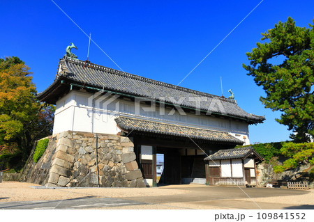 【佐賀県】快晴の佐賀城 鯱の門 109841552
