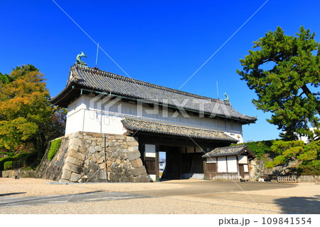 【佐賀県】快晴の佐賀城 鯱の門 【佐賀県】快晴の佐賀城 鯱の門 109841554