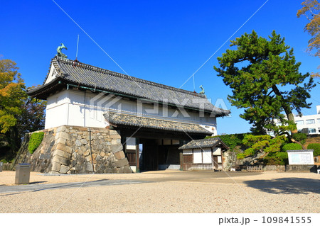 【佐賀県】快晴の佐賀城 鯱の門 【佐賀県】快晴の佐賀城 鯱の門 109841555