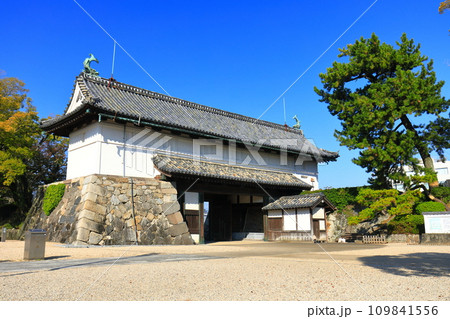 【佐賀県】快晴の佐賀城 鯱の門 【佐賀県】快晴の佐賀城 鯱の門 109841556