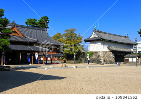 【佐賀県】快晴の佐賀城 本丸御殿と鯱の門 109841562