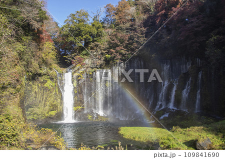 白糸の滝 虹 静岡県 白糸の滝 虹 静岡県 109841690