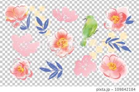 Camellia and white-eye background illustration material set Camellia and white-eye background illustration material set 109842184