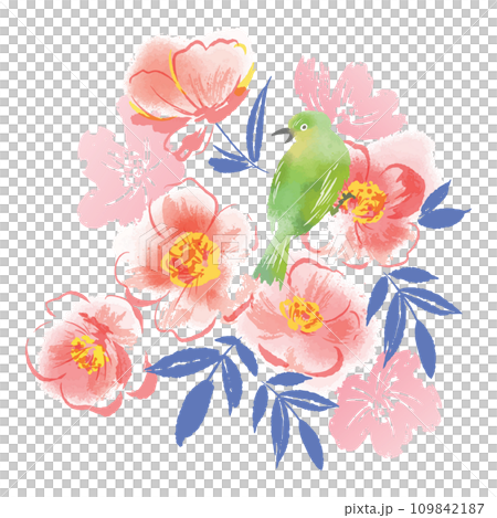 椿とメジロの背景用イラスト素材 109842187