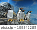 仲良しのジェンツーとオウサマペンギン 109842285