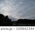 夕方、空一面のウロコ雲 109842344
