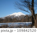 快晴の厳寒の冬、牧場と岩手山 109842520
