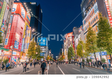 《東京都》秋葉原の電気街の夜景・歩行者天国 109842992