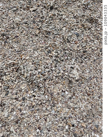 Different seashells on sandy beach. Thailand Different seashells on sandy beach. Thailand 109843335