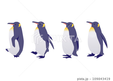 ペンギンの散歩、ペンギンの行進のイラスト ペンギンの散歩、ペンギンの行進のイラスト 109843419