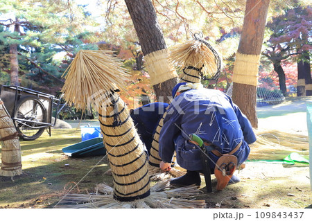 藁囲いする植木職人 藁囲いする植木職人 109843437