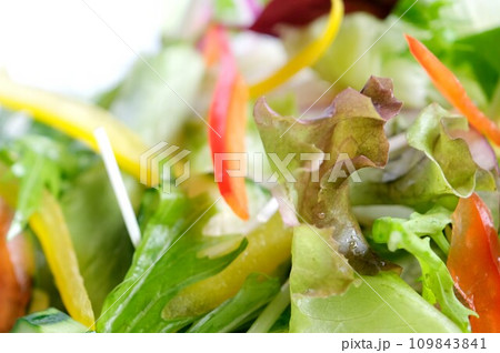 カラフルでフレッシュな生野菜 カラフルでフレッシュな生野菜 109843841