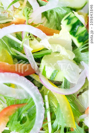 カラフルでフレッシュな生野菜サラダ 109843846