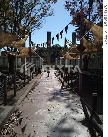 ロゴスランドの屋外バーベキュー会場 ロゴスランドの屋外バーベキュー会場 109844880