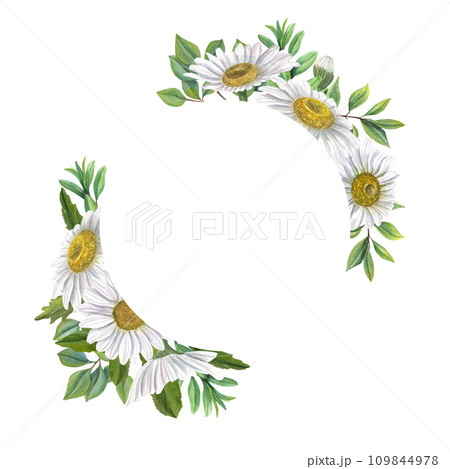 Wreath with white chamomile flowers and green leaves. Meadow plants, flowers. Composition with copy space for text. Watercolor illustration for Valentine cards, birthday, mother day greetings 109844978