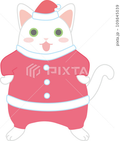 サンタの格好をした可愛い猫_サンタの格好をした白猫 109845039