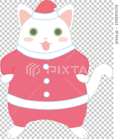 サンタの格好をした可愛い猫_サンタの格好をした白猫 109845039
