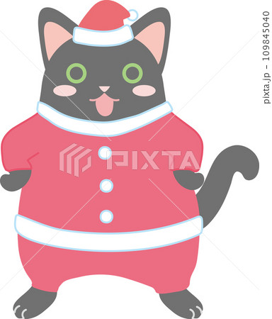 サンタの格好をした可愛い猫_サンタの格好をした黒猫 109845040